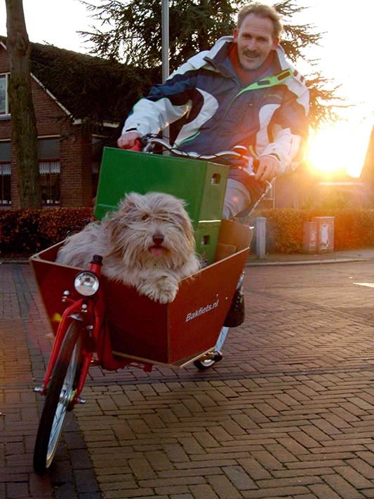 lugn hund i lådcykel trots lastningen Bakfiets.nl