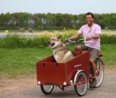 lådcykel glada åka en hund Bakfiets.nl