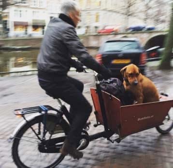 Brottom med hundarna i lådcykel från Bakfiets.nl
